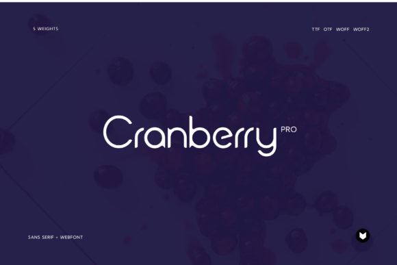 The Rise of Cranberry: Why This Modern Display Typeface Is Reshaping Visual Communication